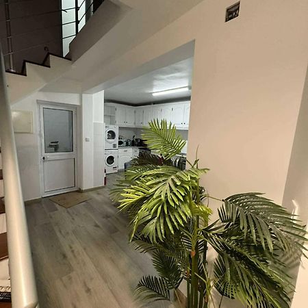 Alvarenga House Maia  Exteriér fotografie
